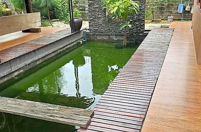 Nipatra *